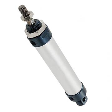 Bosch Air Pneumatic Tie Rod Cylinder 5" Stroke 2 1/2" Bore 0 822 243 005 New