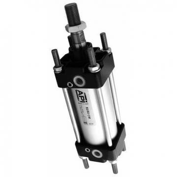 Bosch 0 822 021 013 Pneumatic Cylinder 40mm X 10mm 10bar