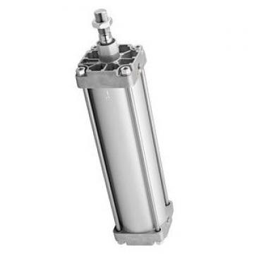 0 822 345 007 Bosch Rexroth Pneumatic Air Cylinder 0-822-345-007 0822345007