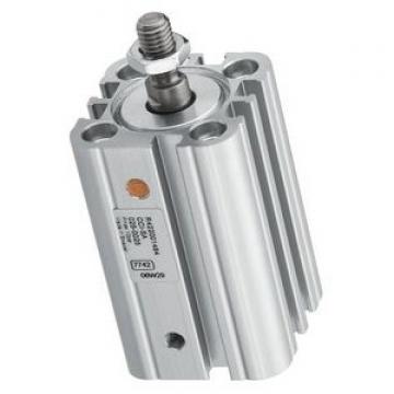 Bosch Rexroth 0822063004 Pneumatic Guided Cylinder New